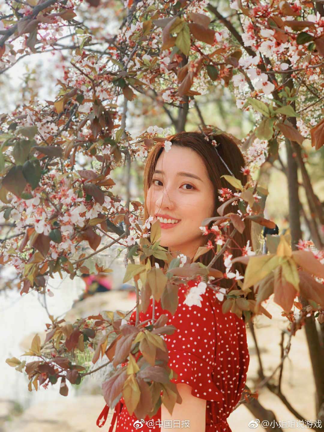 方形广场大姐几点出来(怀化市),沈阳方形广场大姐电话