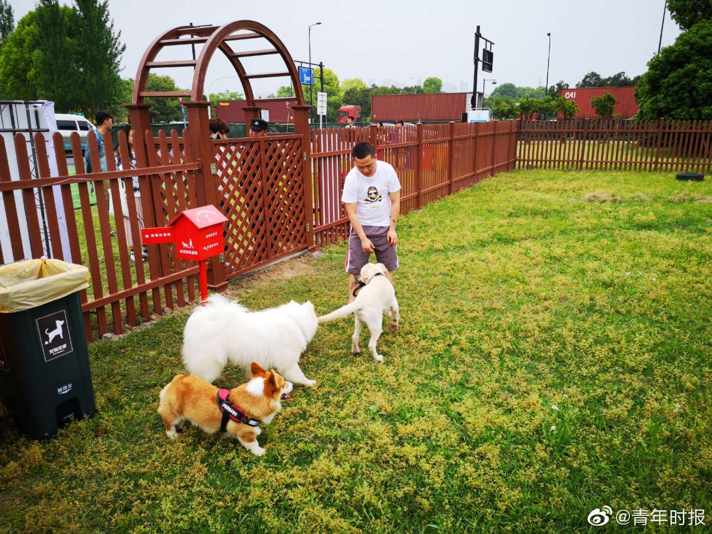 闲鱼怎么找同城接活的女生(奎屯市),闲鱼如何找同城