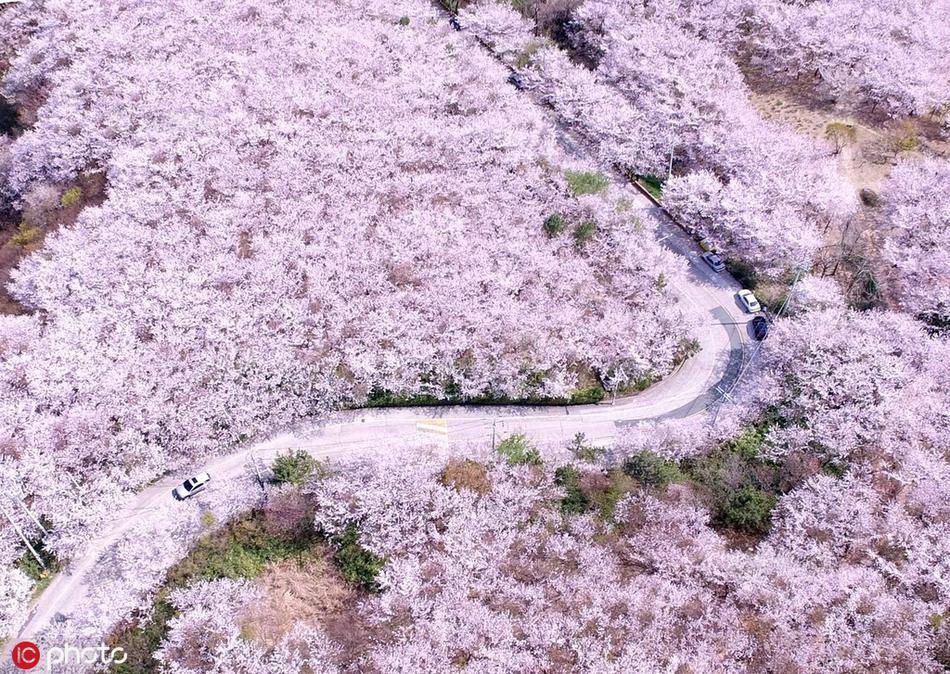 扬州做大活的地方 (宁陕县),扬州比较好的场子