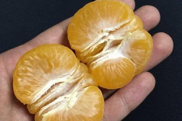 扬州品茶银河官网入口登录的联系方式(察哈尔右翼中旗),扬州品茶微信