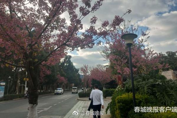 怎么叫一条龙(资阳市),麻将怎么叫一条龙