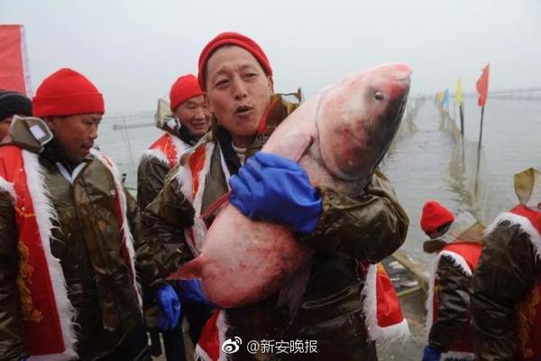 临沂品茶银河官网入口登录的联系方式(仙居县),临沂品茶论坛