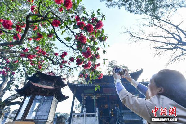 柳州哪里妹子多(成武县),柳州妹开放吗