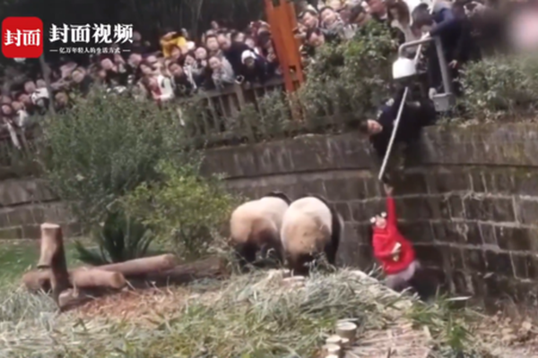 可以空降是啥意思(龙里县),能空降吗是什么意思