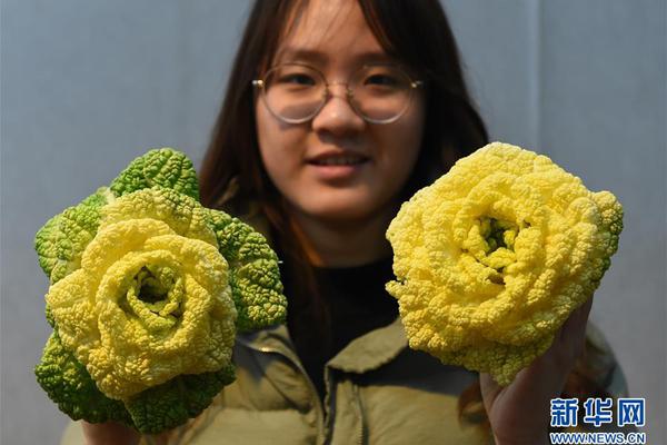 兰州新区兼职银河官网入口登录的联系方式(江川县),兰州新区招聘网最新招聘短期工