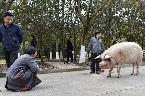 赵巷现在还有吗(益阳市),赵巷社区是哪个省哪个市