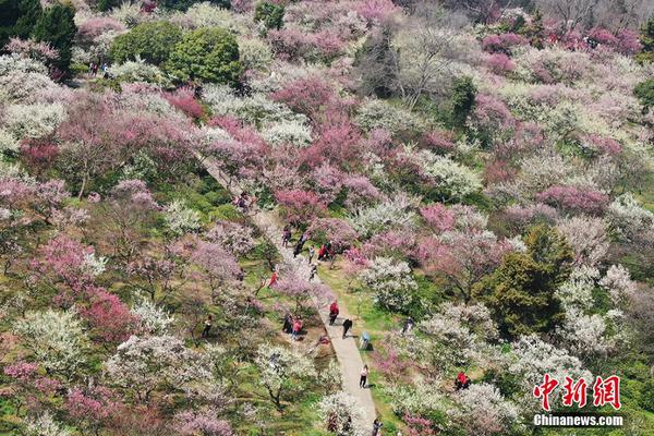 鲁山县哪里有小巷子(化州市),鲁山县哪里有女人