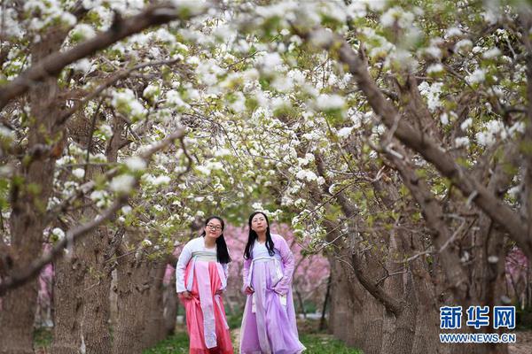 北道宾馆服务怎么样(商水县),北道花园酒店电话