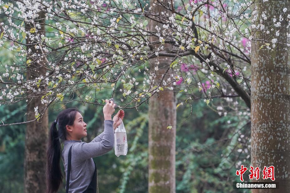 漳州快餐银河官网入口登录的联系方式大全电话(华亭县),福建漳州有什么快餐银河官网入口登录的联系方式