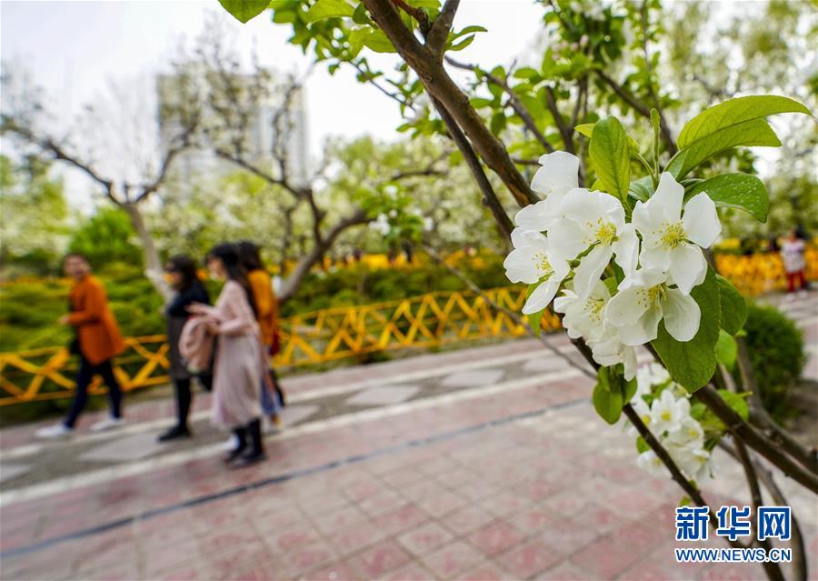 泰州哪里好玩又便宜的(鹤壁市),泰州哪里比较好玩